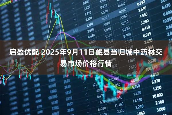 启盈优配 2025年9月11日岷县当归城中药材交易市场价格行情