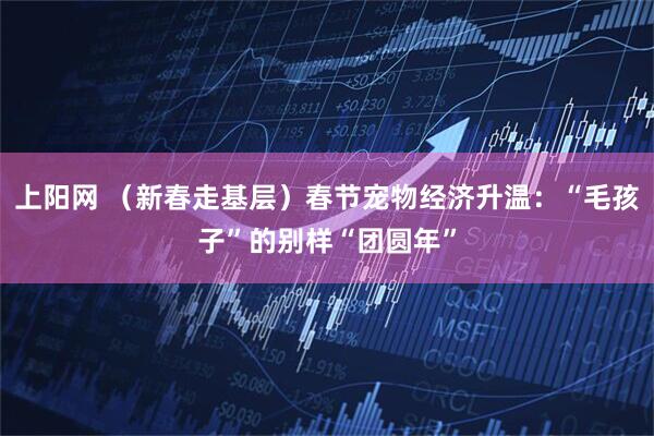 上阳网 （新春走基层）春节宠物经济升温：“毛孩子”的别样“团圆年”