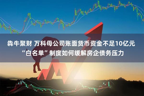 犇牛聚财 万科母公司账面货币资金不足10亿元 “白名单”制度如何缓解房企债务压力