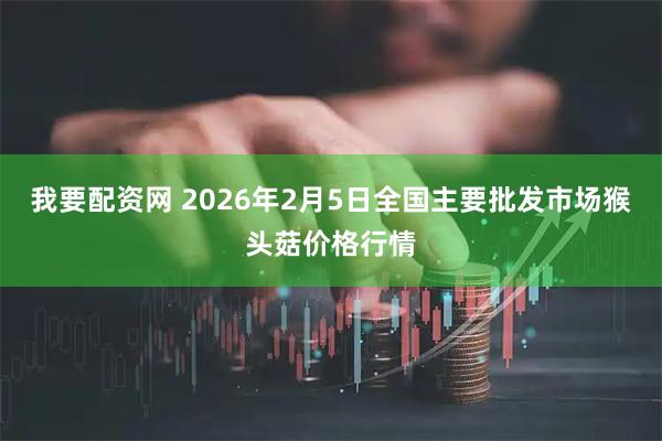 我要配资网 2026年2月5日全国主要批发市场猴头菇价格行情